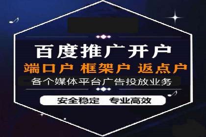 某电商平台的SEM优化托管实践与效果评估